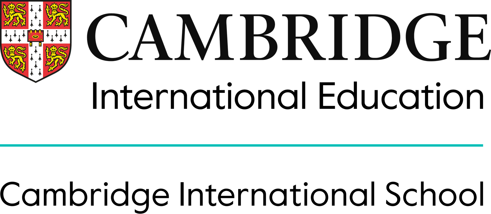 Cambridge Assessment International Education Logo